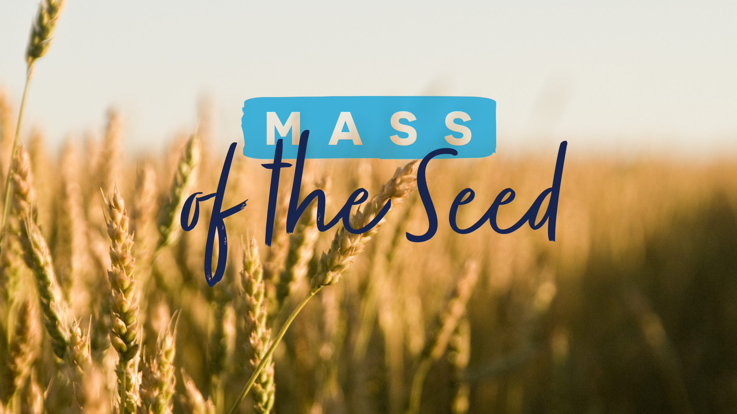 Mass of the Seed