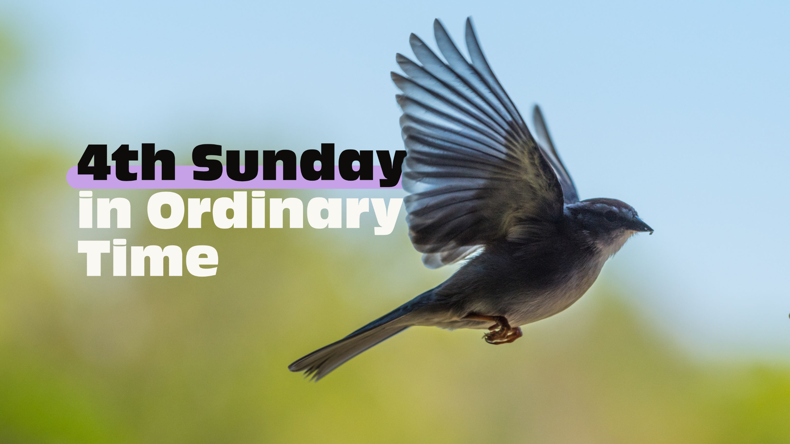 4th Sunday in Ordinary Time