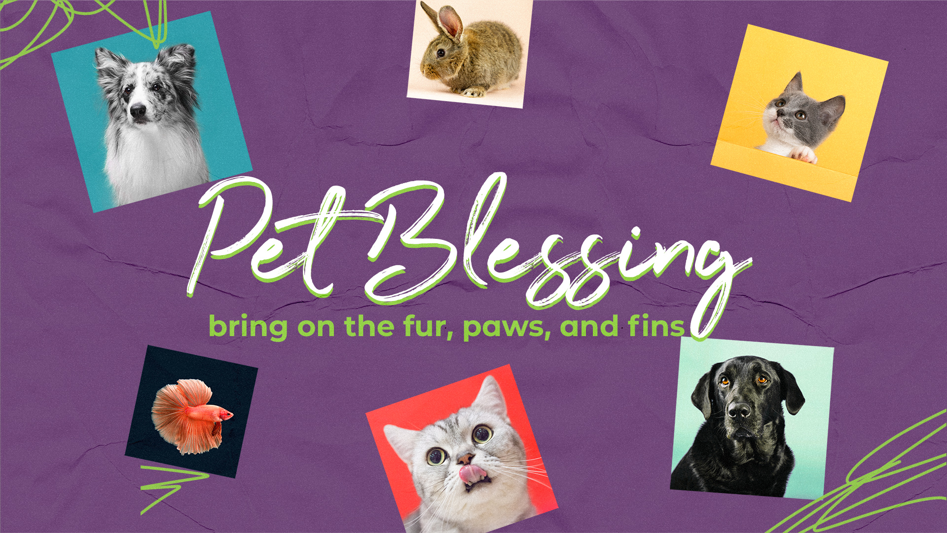 A Beautiful Pet Blessing on 10/1/22